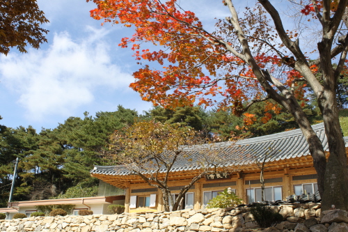 연악산 갑장사(甲長寺)단풍물결 넘치는 오색 숲길속에 물든다